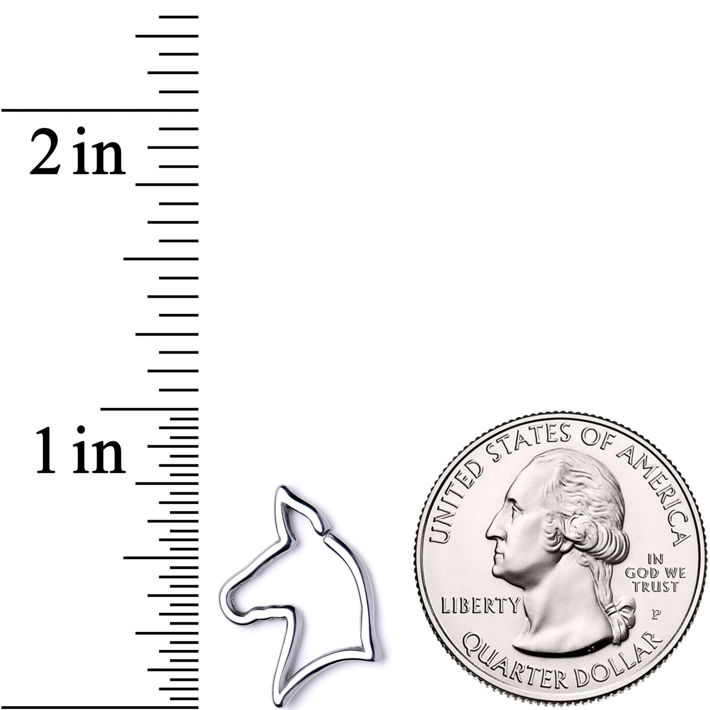 16G 5/16 Darling Doggy Cartilage Closure Ring