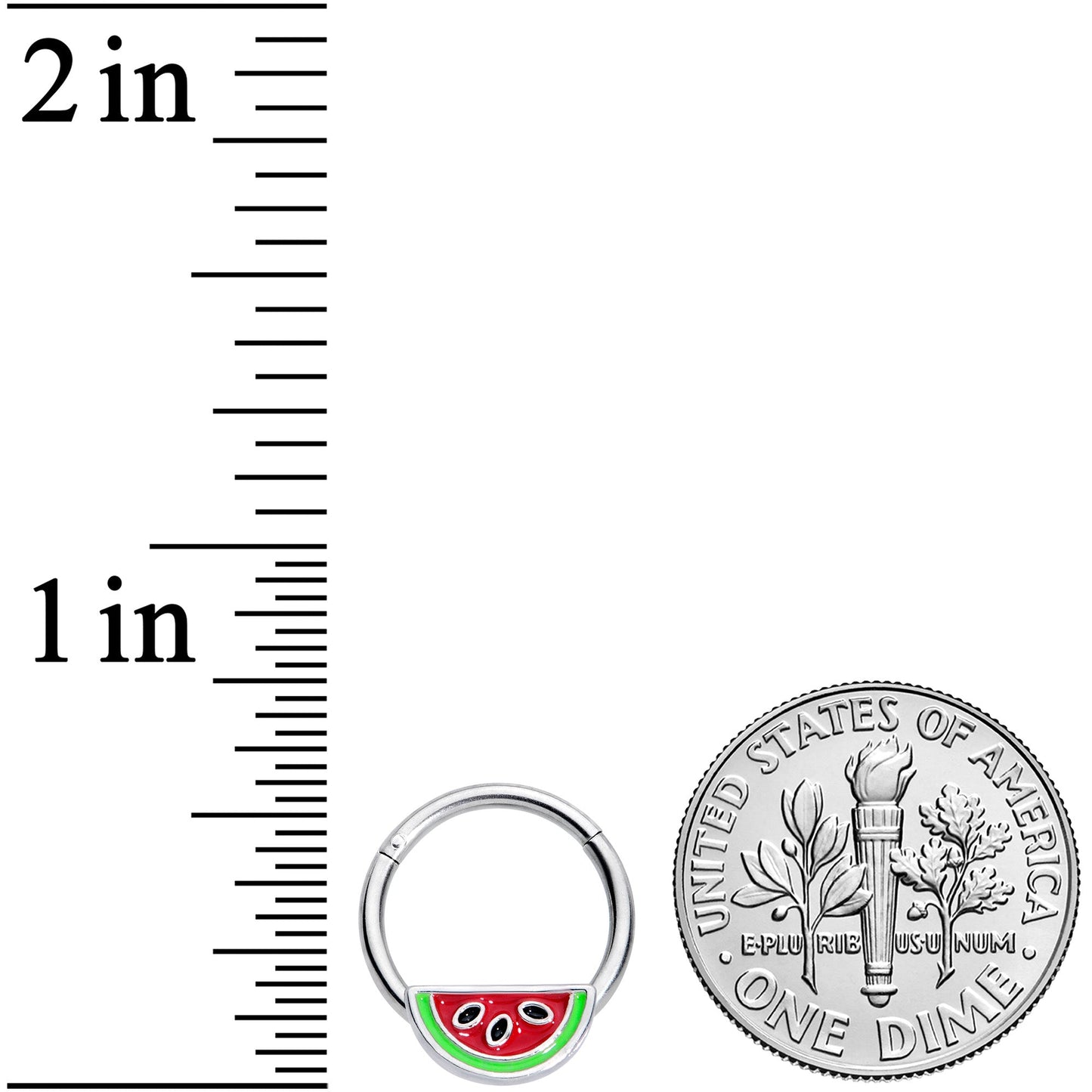 16G 3/8 Red Green Juicy Watermelon Fruit Hinged Segment Ring