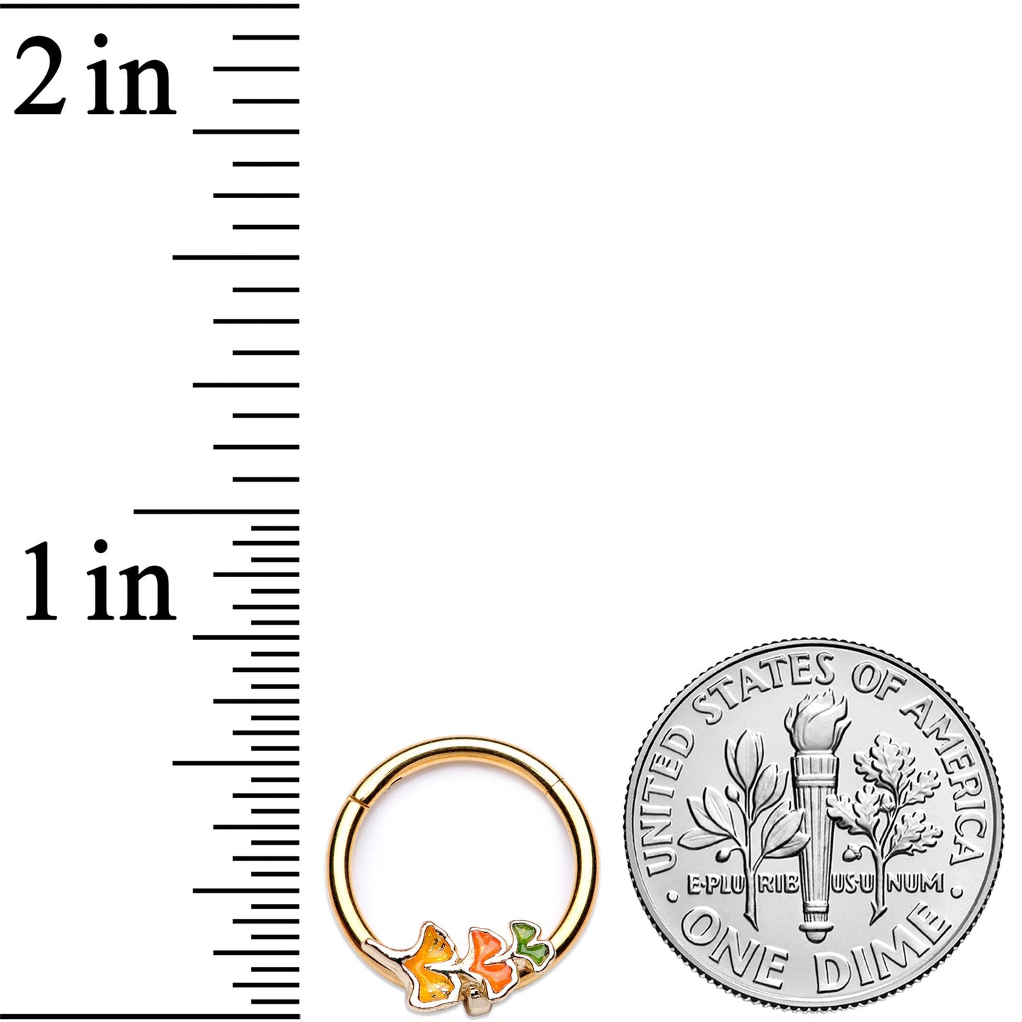16G 3/8 Autumn Leaves Fall Hinged Segment Ring