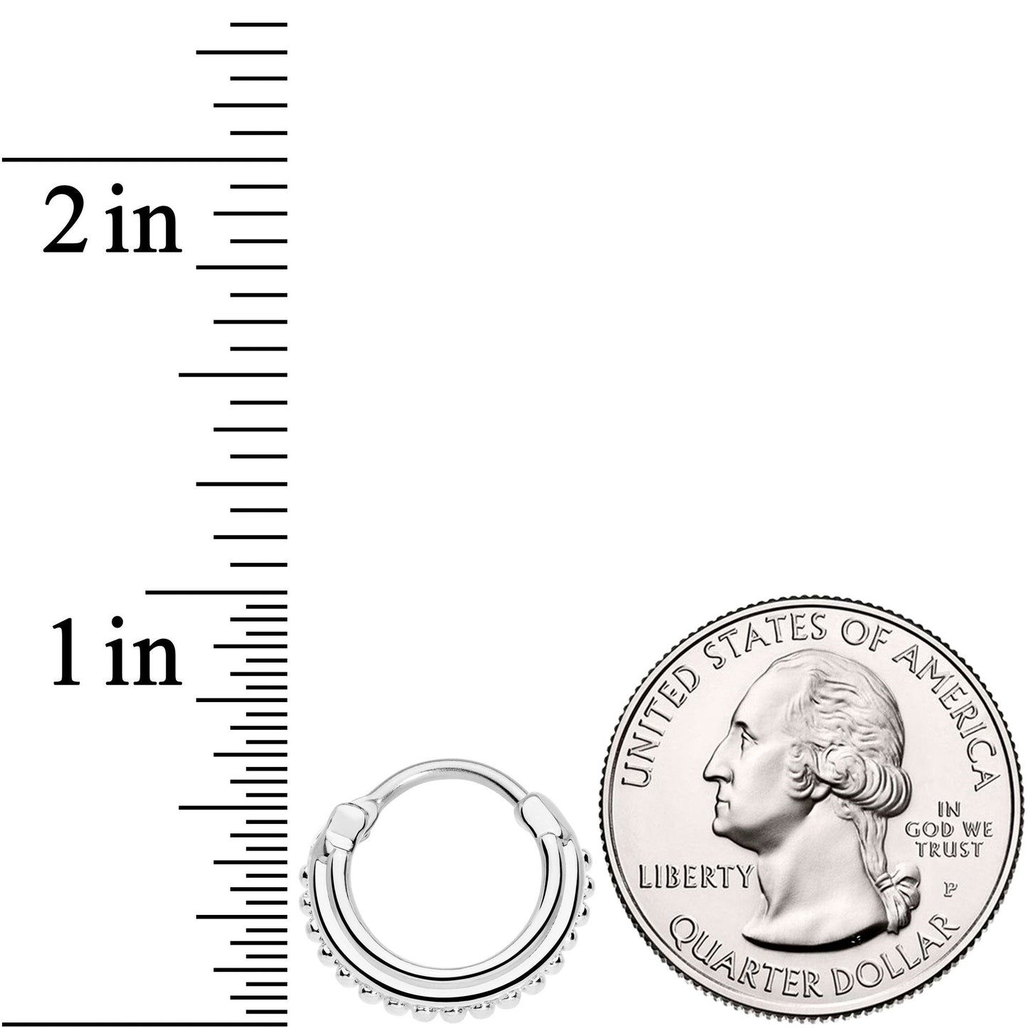 16G 3/8 Delicate Details Hinged Septum Ring