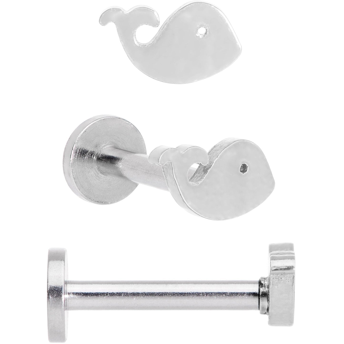 16G 5/16 Multicolor Internally Threaded Whale Labret Set of 4