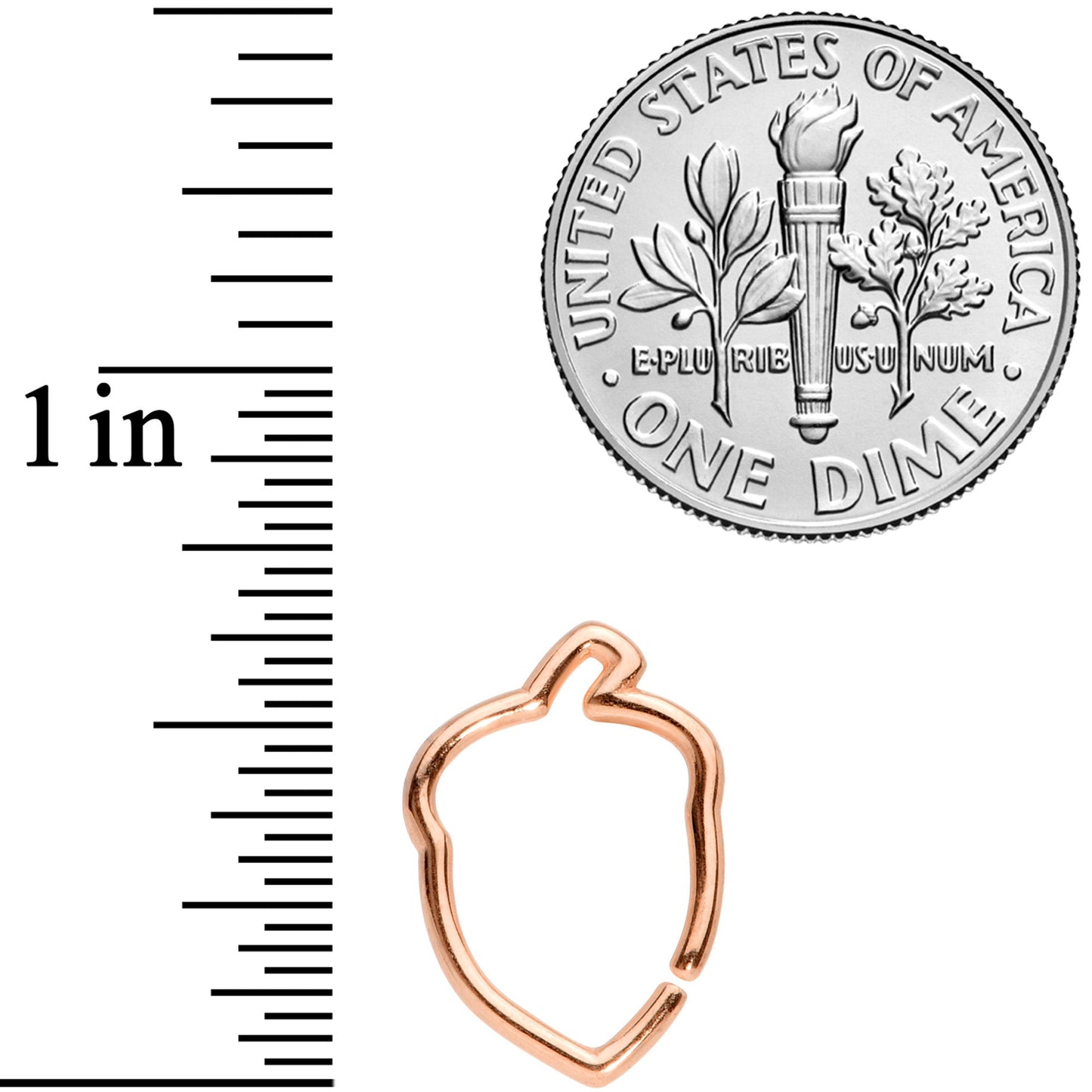 16G 3/8 Rose Gold Tone Autumn Acorn Closure Ring