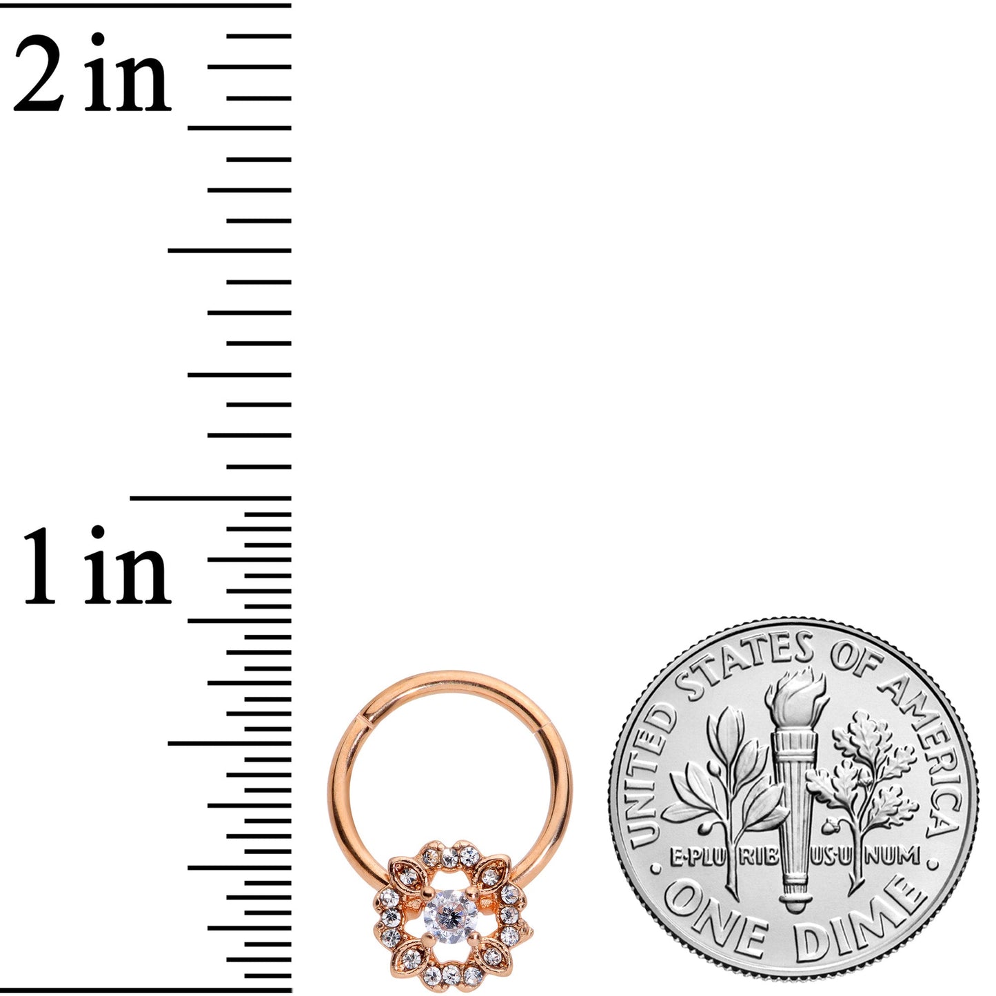 16G  3/8 Clear Gem Rose Gold Tone Wreath Hinged Segment Ring