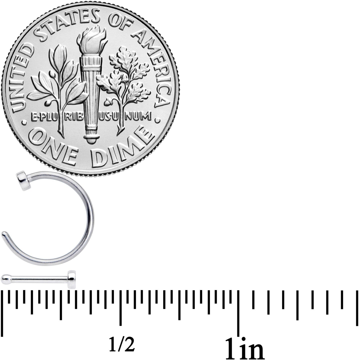 20G 1/4 5/16 Clear CZ Gem Shell Nautical Hoop Nose Bone Set of 6