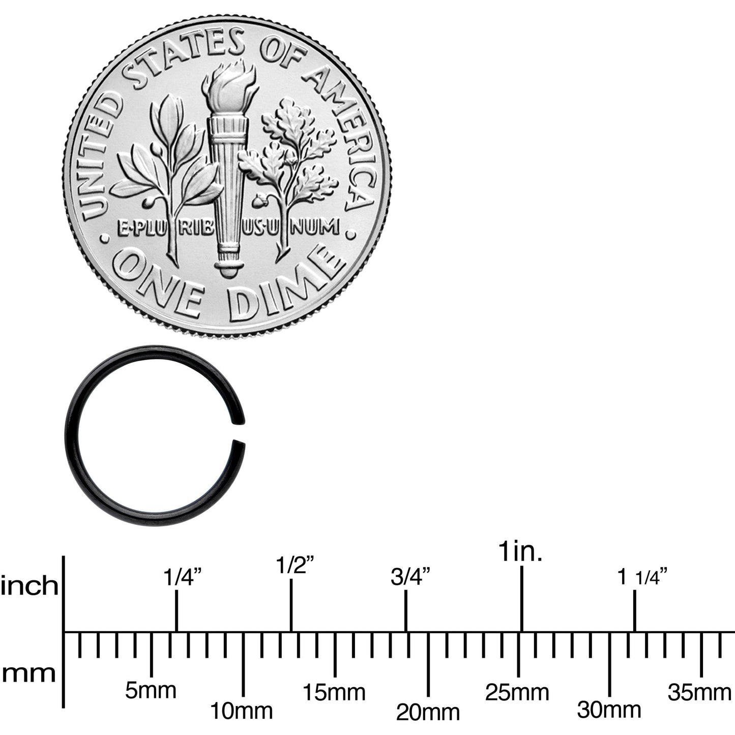 20G 5/16 Black Anodized Seamless Circular Ring Set of 12