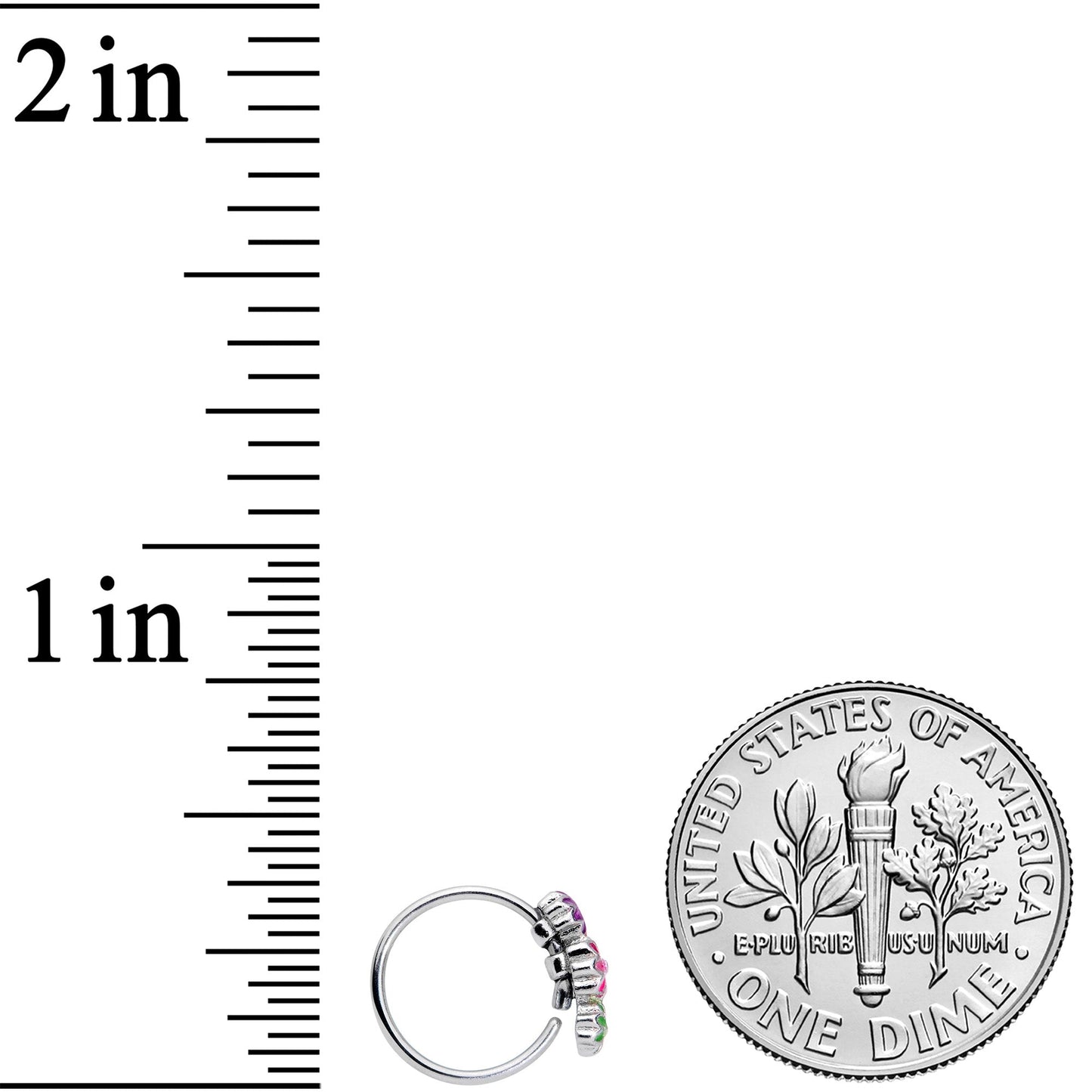 20G 5/16 Flower Patch Nose Hoop