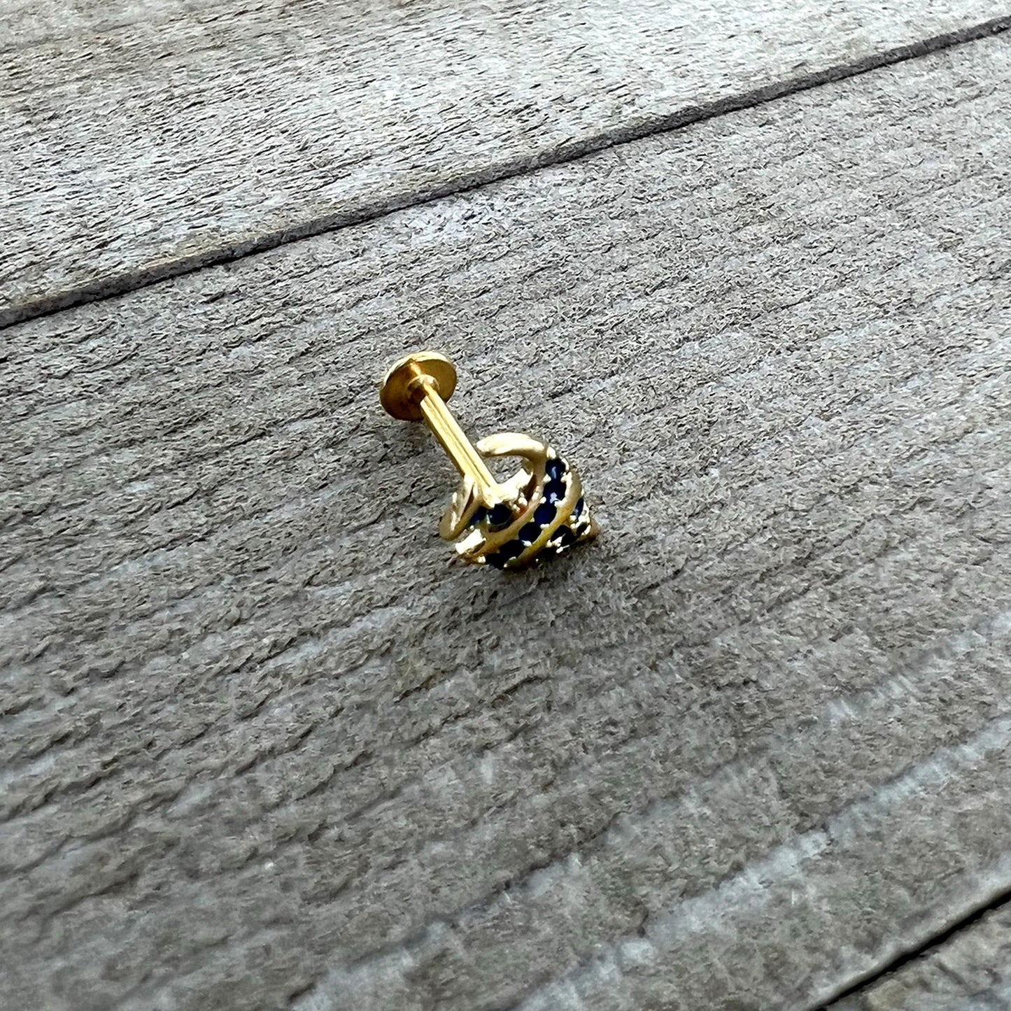 16G 5/16 Gold Tone Blue Adorable Angelfish Labret Monroe Tragus