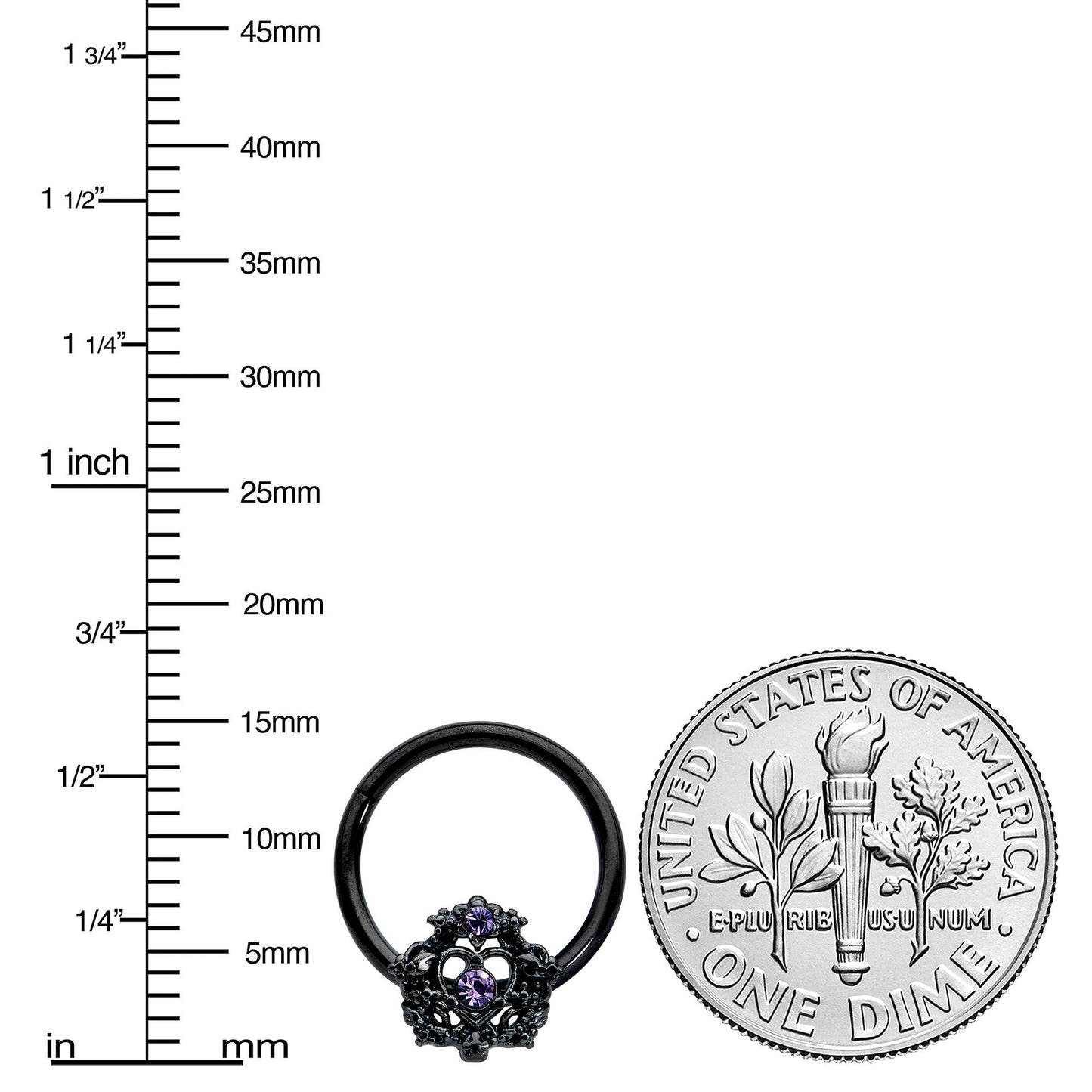 16G 3/8 Purple Gem Black Regal Crown Hinged Segment Ring