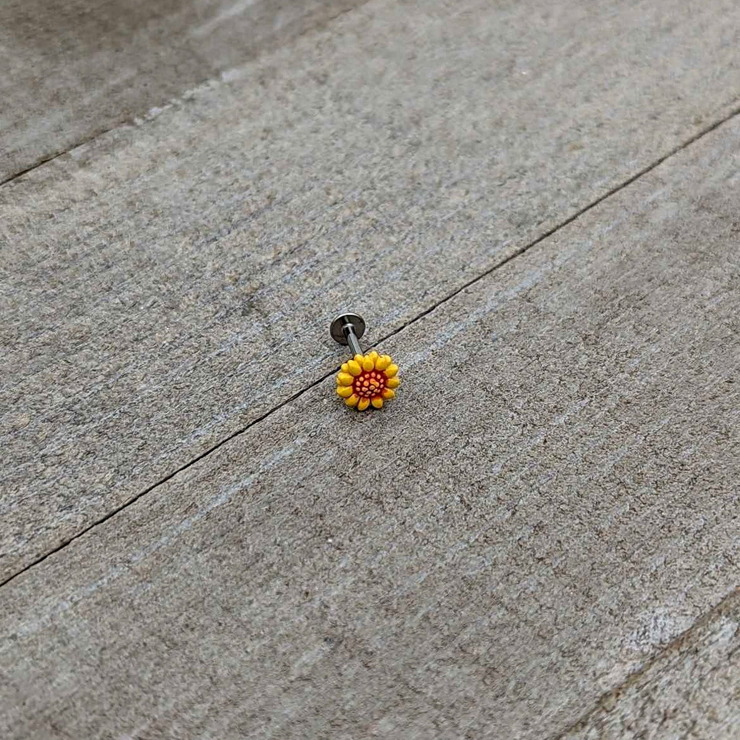 16G 5/16 Happy Sunflower Yellow Labret Monroe Tragus