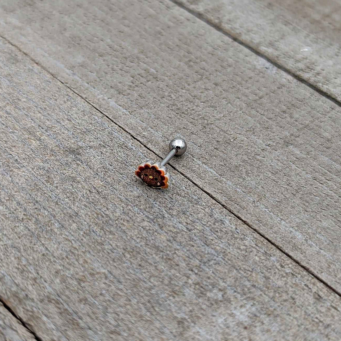 16G 5/16 Sweet Tiny Turkey Thanksgiving Cartilage Tragus Earring