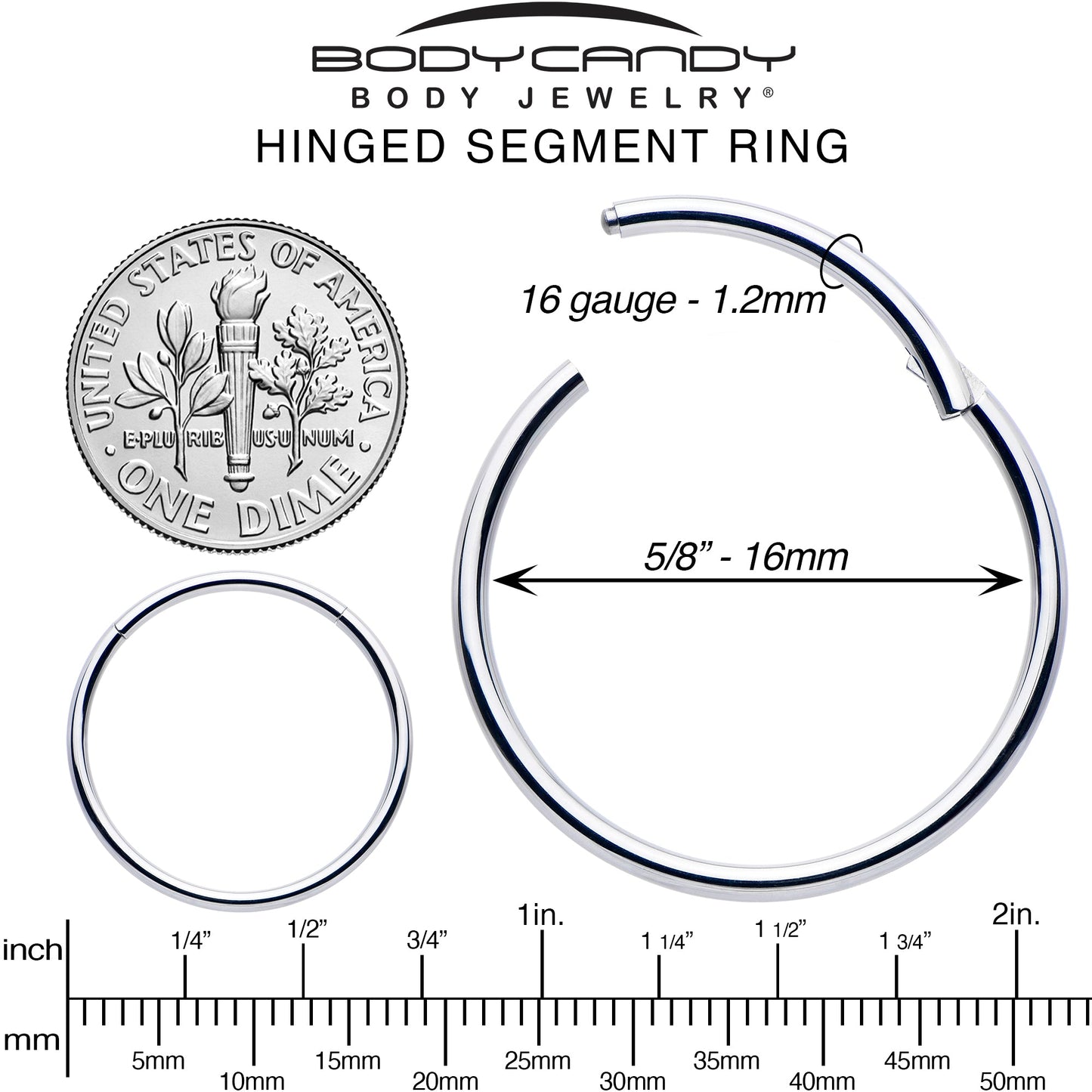 16G 5/8 316L Surgical Steel Precision Hinged Segment Hoop