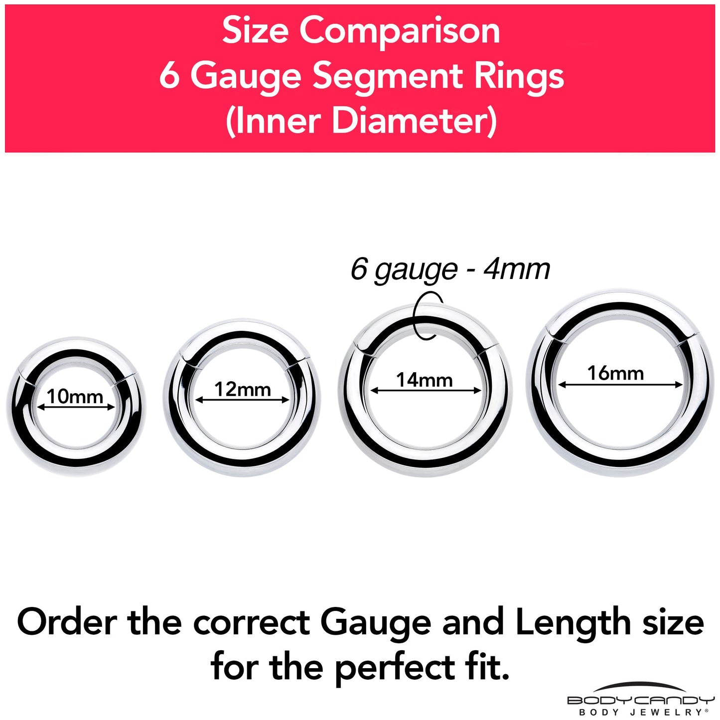6G 5/8 316L Surgical Steel Precision Hinged Segment Hoop