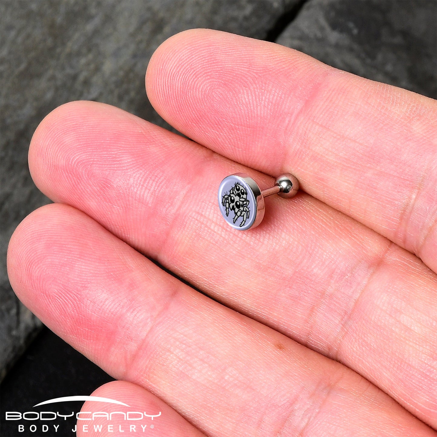 Leaping Leapfrog Spiders Tragus Cartilage Earring by Onyx O